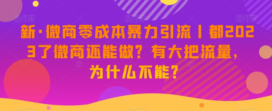 新·微商零成本暴力引流丨都2023了微商还能做？有大把流量，为什么不能？-第一资源库