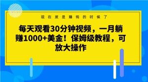 每天观看30分钟视频，一月躺赚1000+美金！保姆级教程，可放大操作【揭秘】-第一资源库