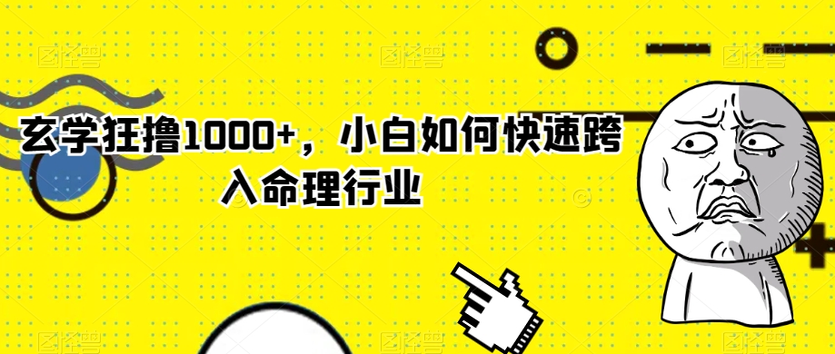 玄学狂撸1000+，小白如何快速跨入命理行业【揭秘】-第一资源库