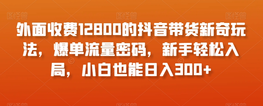 外面收费12800的抖音带货新奇玩法，爆单流量密码，新手轻松入局，小白也能日入300+【揭秘】-第一资源库