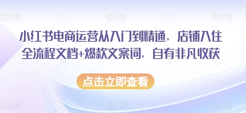 小红书电商运营从入门到精通，店铺入住全流程文档+爆款文案词，自有非凡收获-第一资源库