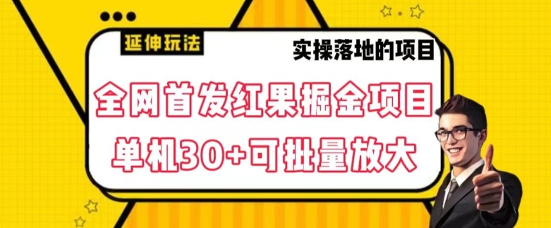 全网首发红果免费短剧掘金项目，单机30+可批量放大【揭秘】-第一资源库