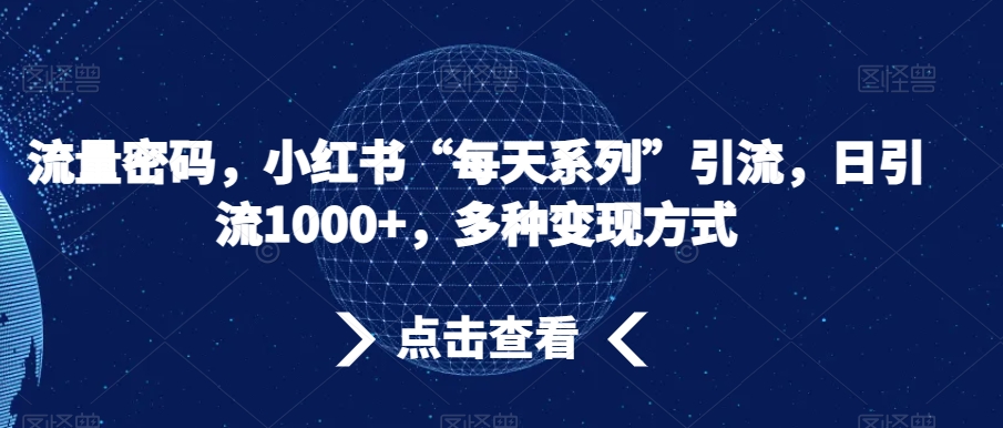 流量密码，小红书“每天系列”引流，日引流1000+，多种变现方式【揭秘】-第一资源库