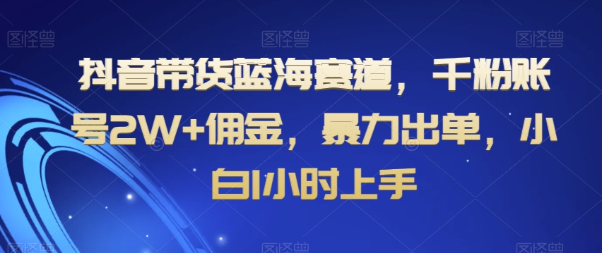 抖音带货蓝海赛道，千粉账号2W+佣金，暴力出单，小白1小时上手【揭秘】-第一资源库