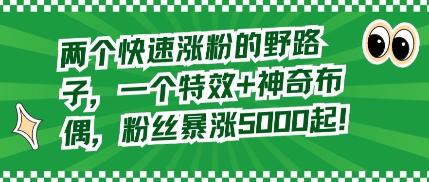 两个快速涨粉的野路子，一个特效+神奇布偶，粉丝暴涨5000起【揭秘】-第一资源库