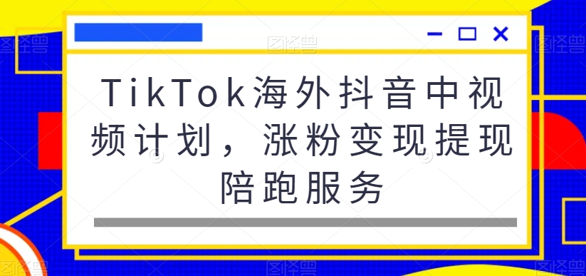 TikTok海外抖音中视频计划，涨粉变现提现陪跑服务-第一资源库