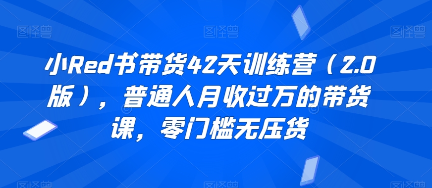 小Red书带货42天训练营（2.0版），普通人月收过万的带货课，零门槛无压货-第一资源库