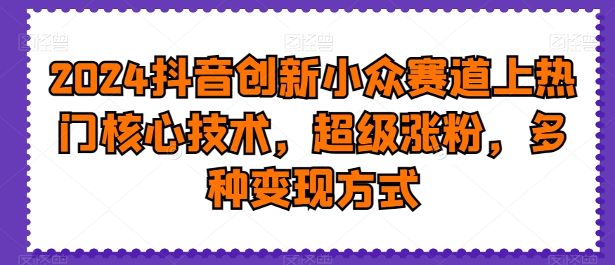 2024抖音创新小众赛道上热门核心技术，超级涨粉，多种变现方式【揭秘】-第一资源库