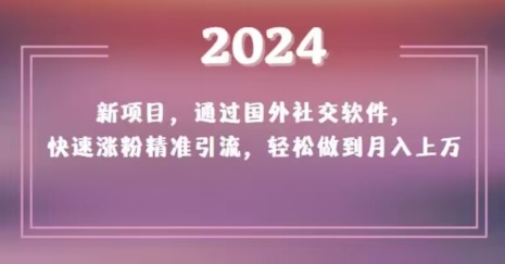 2024新项目，通过国外社交软件，快速涨粉精准引流，轻松做到月入上万【揭秘】-第一资源库