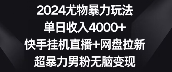 2024尤物暴力玩法，单日收入4000+，快手挂机直播+网盘拉新，超暴力男粉无脑变现【揭秘】-第一资源库