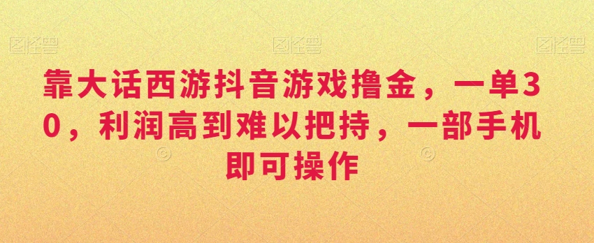 靠大话西游抖音游戏撸金，一单30，利润高到难以把持，一部手机即可操作，日入3000+【揭秘】-第一资源库