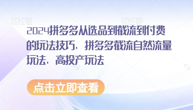 2024拼多多从选品到截流到付费的玩法技巧，拼多多截流自然流量玩法，高投产玩法-第一资源库