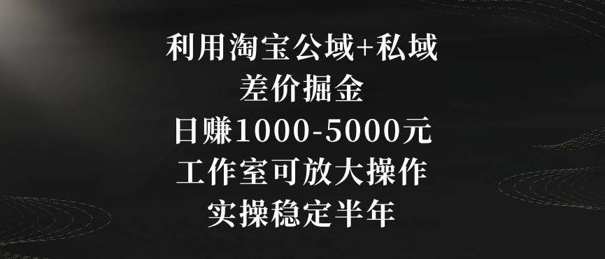 利用淘宝公域+私域差价掘金，日赚1000-5000元，工作室可放大操作，实操稳定半年【揭秘】-第一资源库