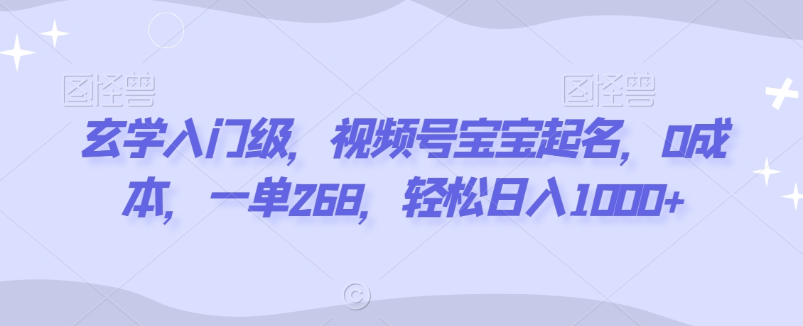 玄学入门级，视频号宝宝起名，0成本，一单268，轻松日入1000+【揭秘】-第一资源库