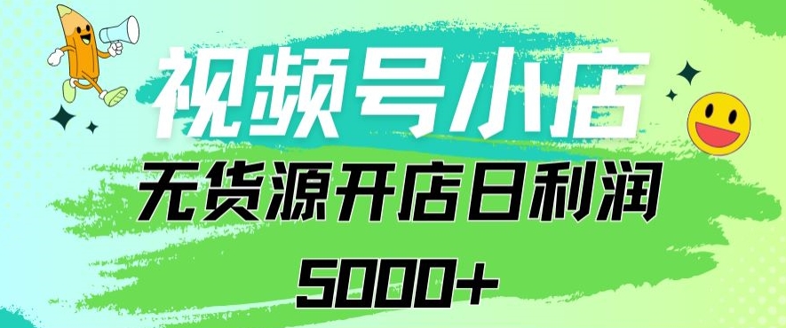 视频号无货源小店从0到1日订单量千单以上纯利润稳稳5000+【揭秘】-第一资源库