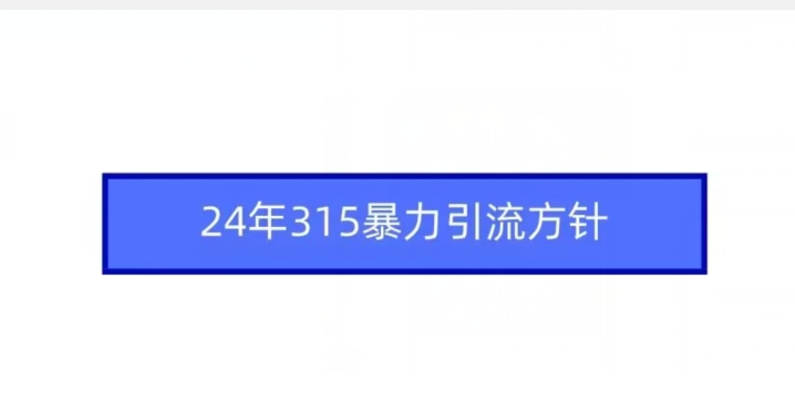 24年315暴力引流方针-第一资源库