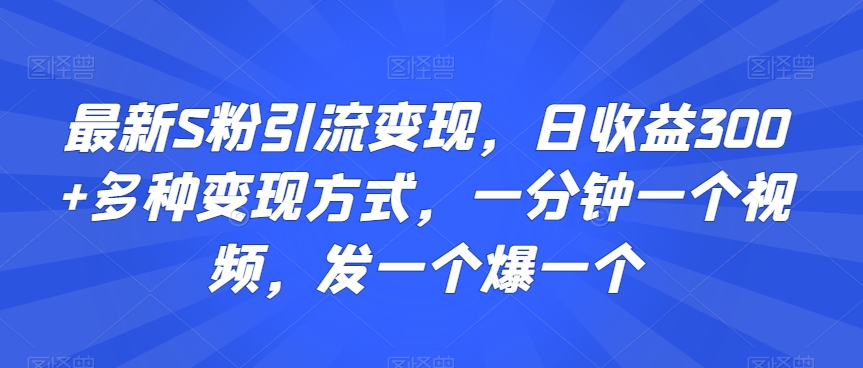 最新S粉引流变现，日收益300+多种变现方式，一分钟一个视频，发一个爆一个【揭秘】-第一资源库