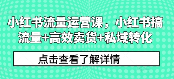 小红书流量运营课，小红书搞流量+高效卖货+私域转化-第一资源库